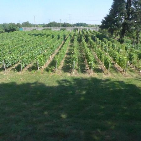Au Clos De L'Epinay Vouvray Eksteriør bilde