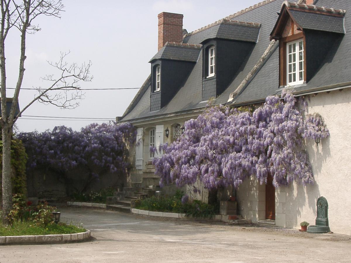 Au Clos De L'Epinay Vouvray Eksteriør bilde