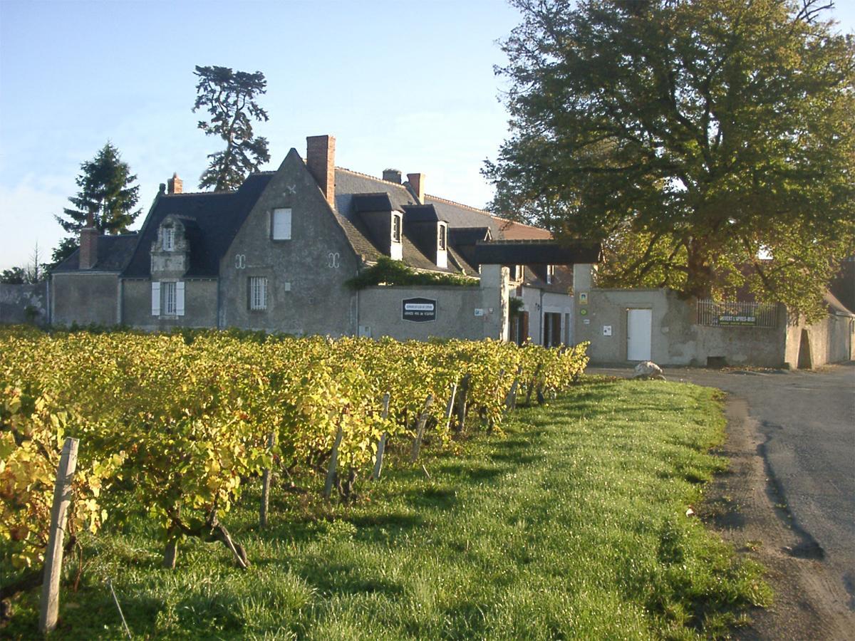 Au Clos De L'Epinay Vouvray Eksteriør bilde