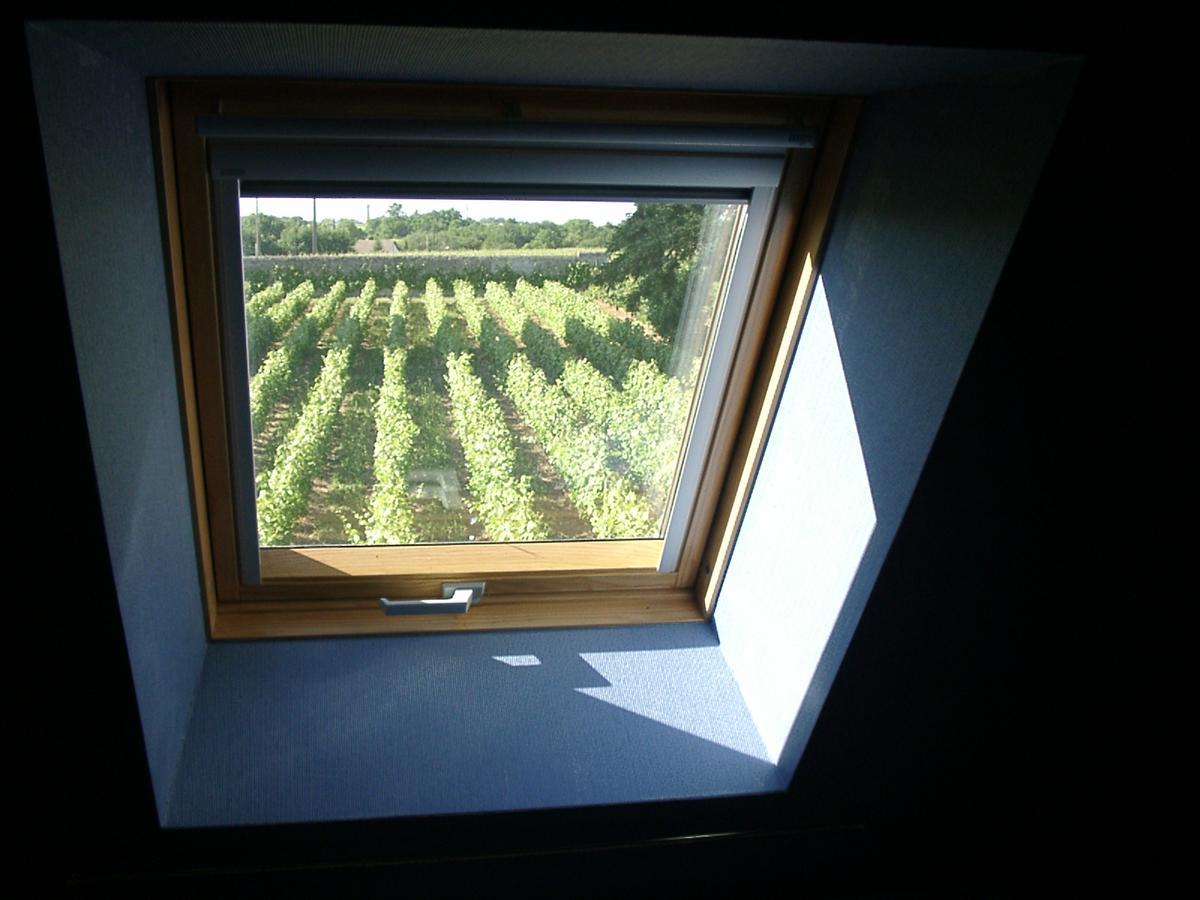 Au Clos De L'Epinay Vouvray Eksteriør bilde