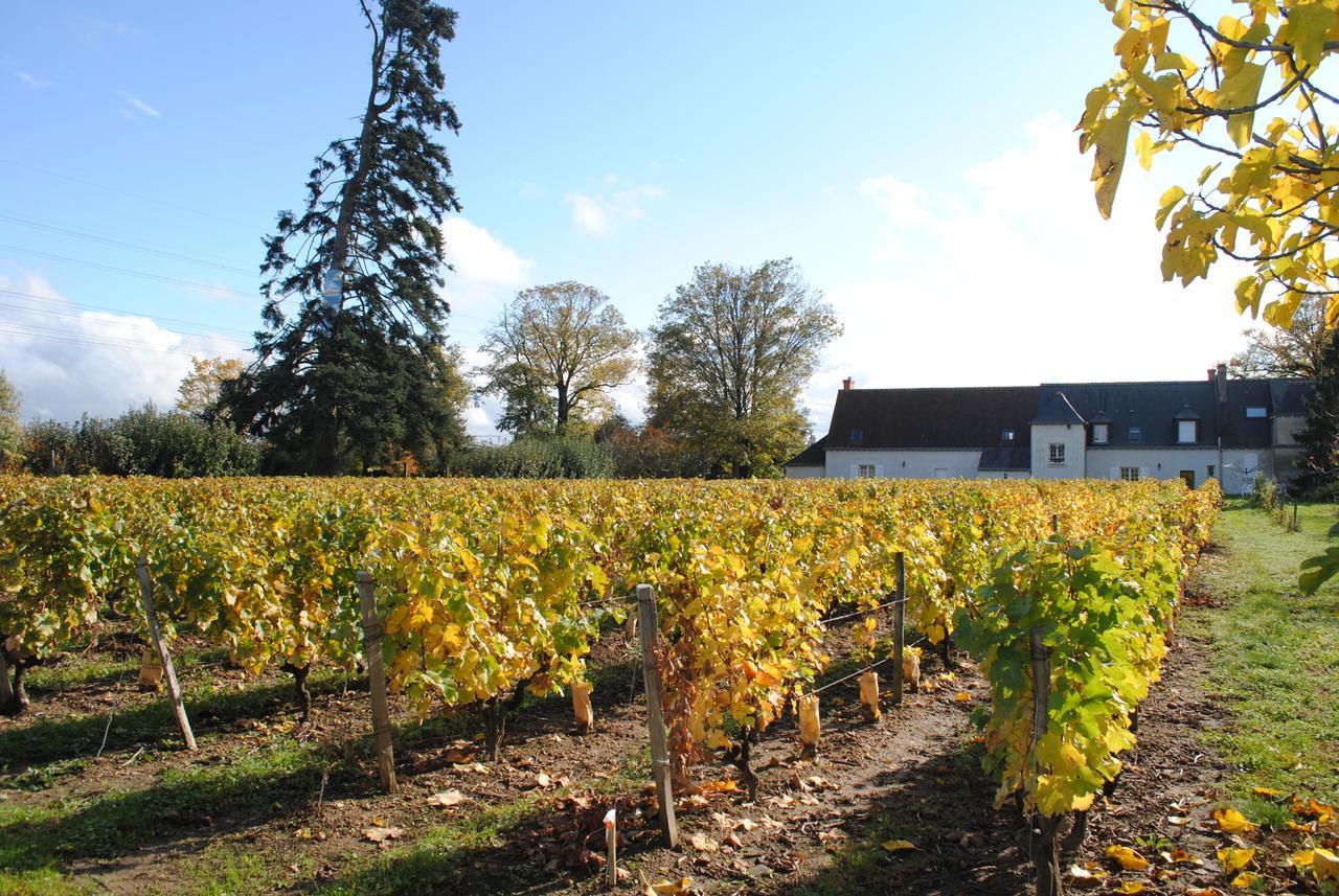 Au Clos De L'Epinay Vouvray Eksteriør bilde